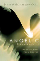 Angelic Encounters - Book