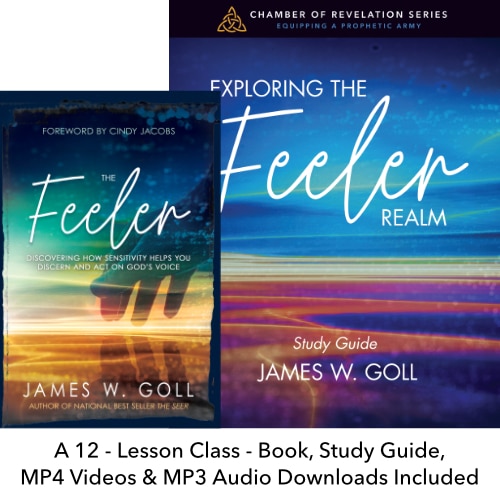 Exploring the Feeler Realm Curriculum Kit