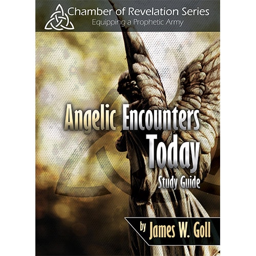angelic encounters today study guide