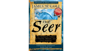 The Seer book