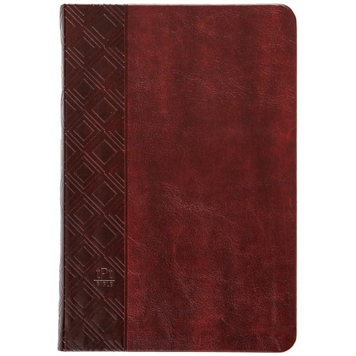TPT Bible leather cover